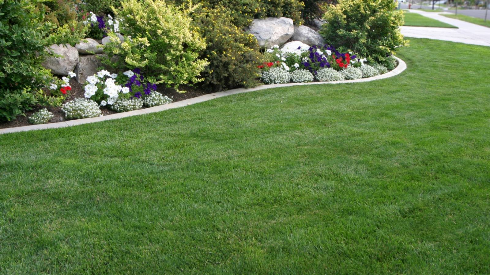 Entretien de parcs et jardins en Gironde dans le secteur de saint André de Cubzac, Blaye et Libourne