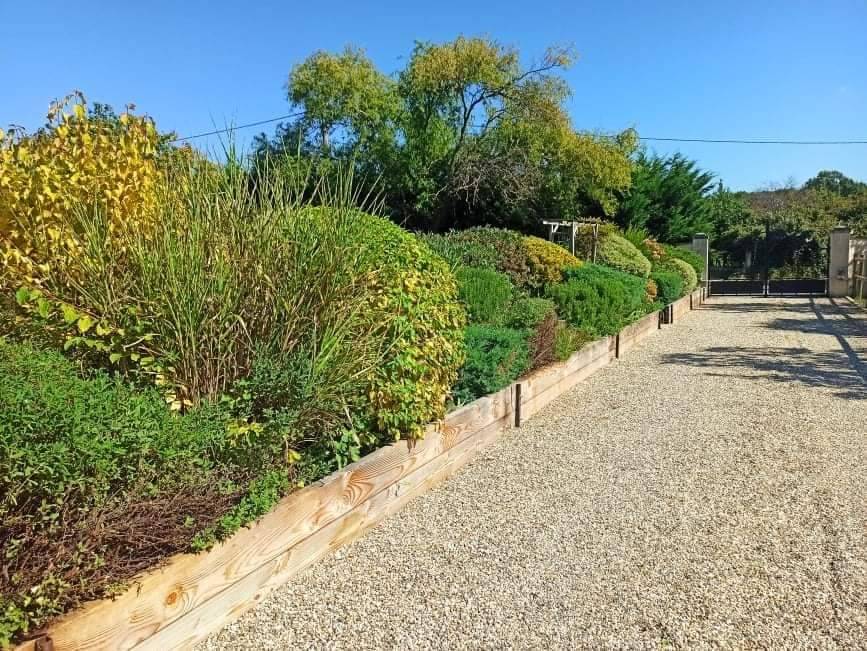 Entretien d'un massif d'arbustes et de plantes vivaces proche Saint André de Cubzac