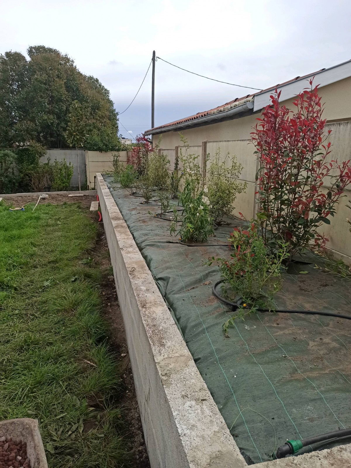 Aménagement d'une jardinière avec des arbustes fleuris sur la commune de Bruges proche de Bordeaux.