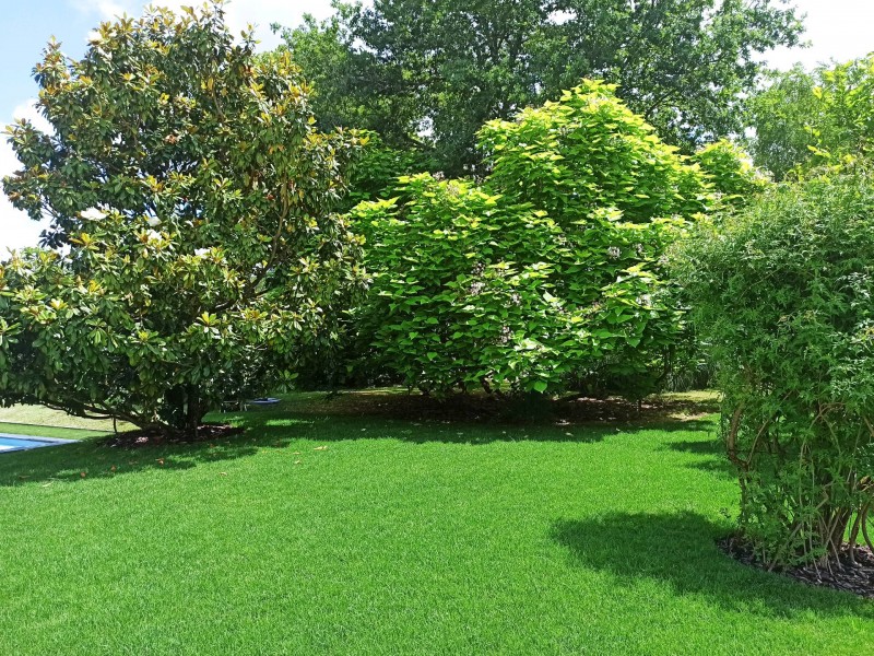 Contrat d'entretien sur la commune de Peujard en Gironde proche saint André de Cubzac