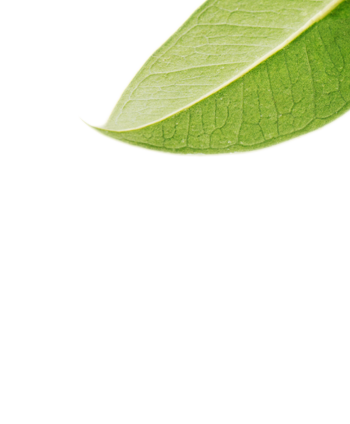 Qualiopi Logo