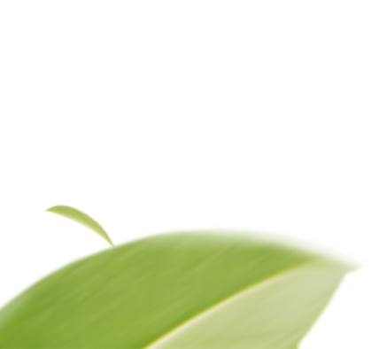 Qualiopi Logo